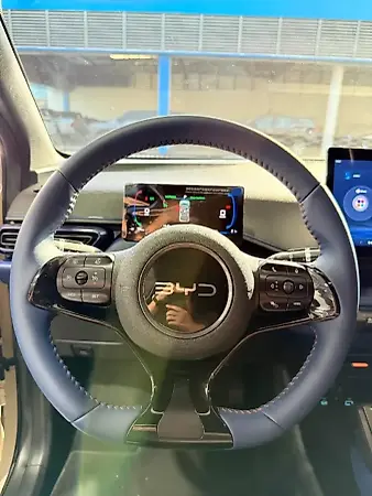 BYD Dolphin Mini - Imagem 12