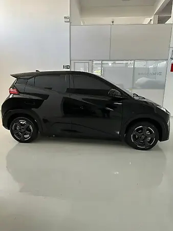 BYD Dolphin Mini - Imagem 10