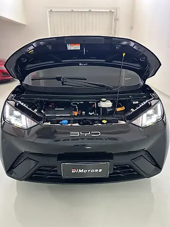BYD Dolphin Mini - Imagem 8