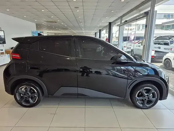 BYD Dolphin Mini - Imagem 8