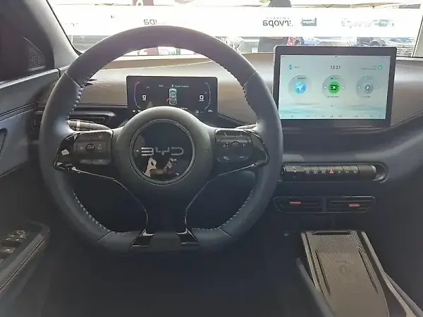 BYD Dolphin Mini - Imagem 15