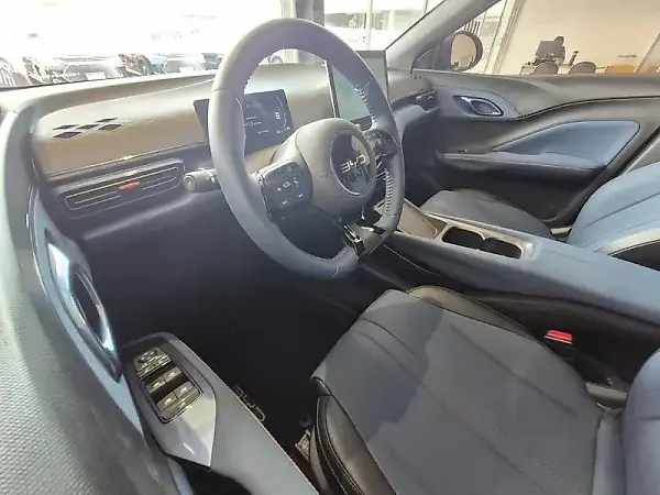 BYD Dolphin Mini - Imagem 16