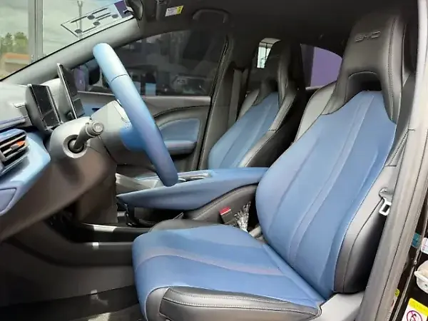 BYD Dolphin Mini - Imagem 8