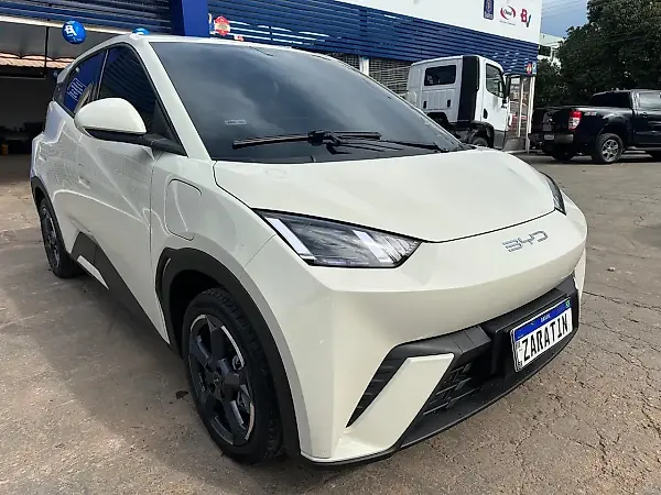BYD Dolphin Mini - Imagem 13