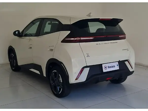 BYD Dolphin - Imagem 6