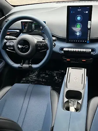 BYD Dolphin Mini - Imagem 10