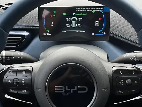 BYD Dolphin Mini - Imagem 11