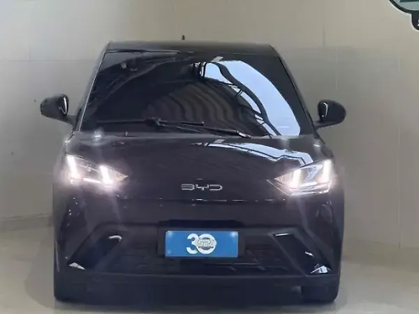 BYD Dolphin Mini - Imagem 2