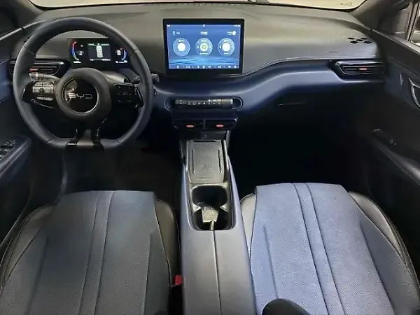 BYD Dolphin Mini - Imagem 18