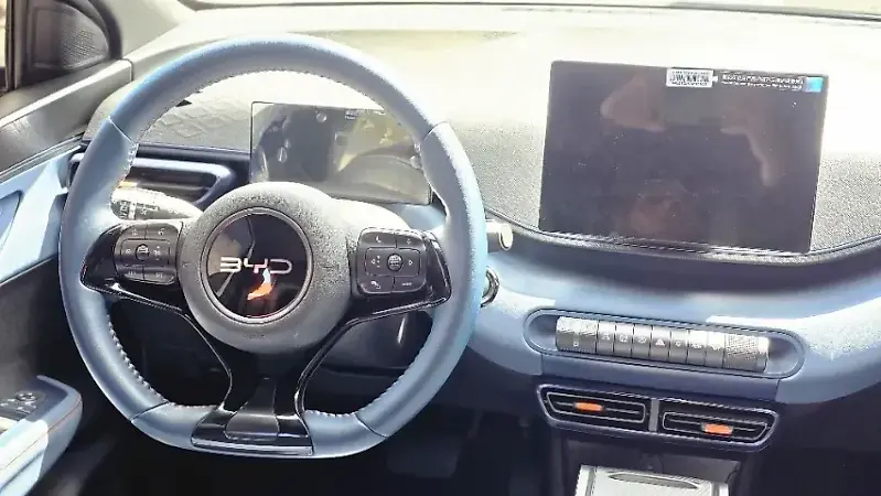 BYD Dolphin Mini - Imagem 16