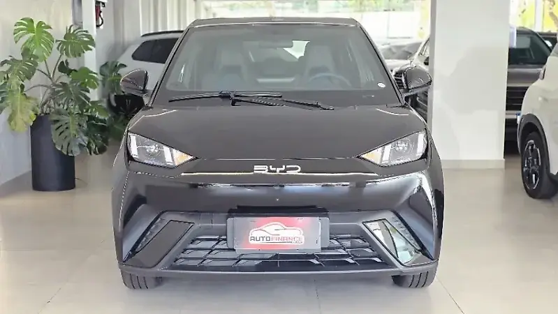 BYD Dolphin Mini - Imagem 14