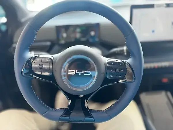 BYD Dolphin Mini - Imagem 6