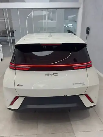 BYD Dolphin Mini - Imagem 11