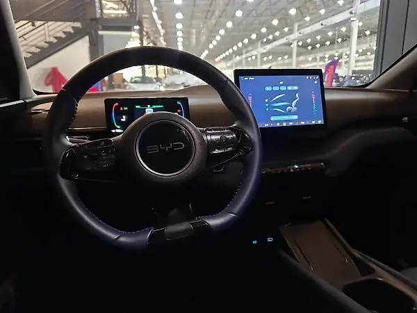 BYD Dolphin Mini - Imagem 11