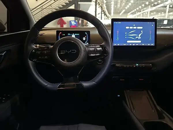 BYD Dolphin Mini - Imagem 10