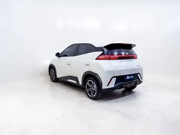 BYD Dolphin Mini - Imagem 11
