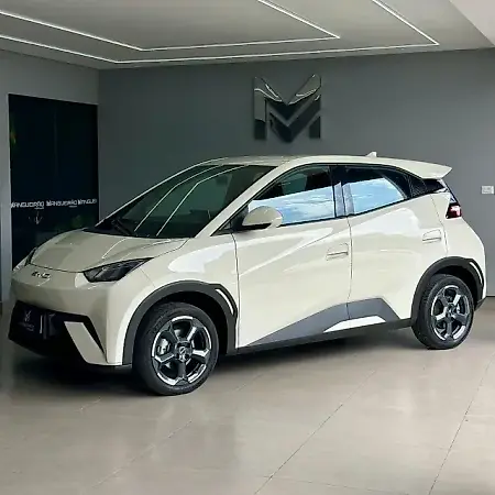 BYD Dolphin Mini - Imagem 2