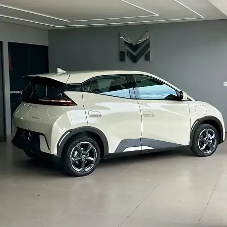 BYD Dolphin Mini - Imagem 10