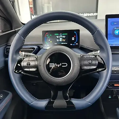 BYD Dolphin Mini - Imagem 6