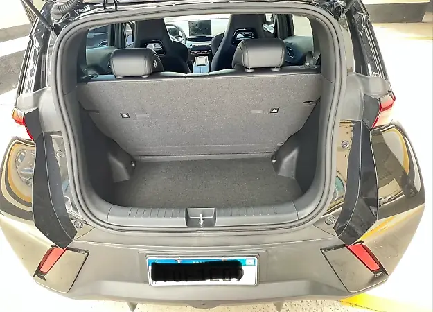 BYD Dolphin Mini - Imagem 12
