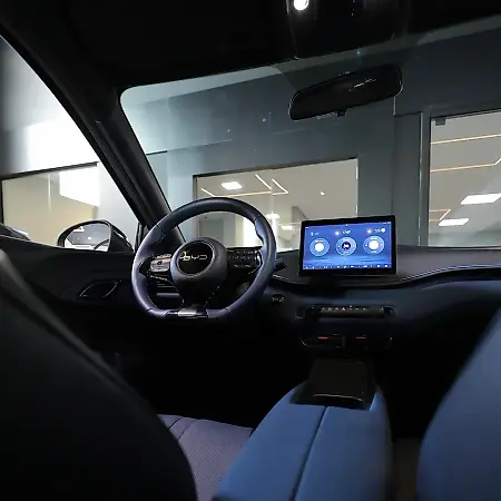 BYD Dolphin Mini - Imagem 12