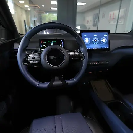 BYD Dolphin Mini - Imagem 13