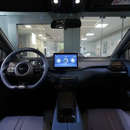 BYD Dolphin Mini - Imagem 11