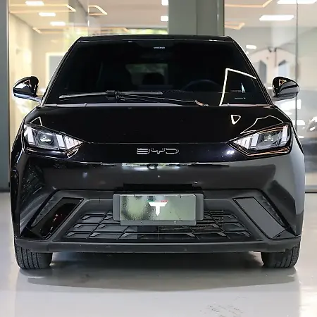 BYD Dolphin Mini - Imagem 3