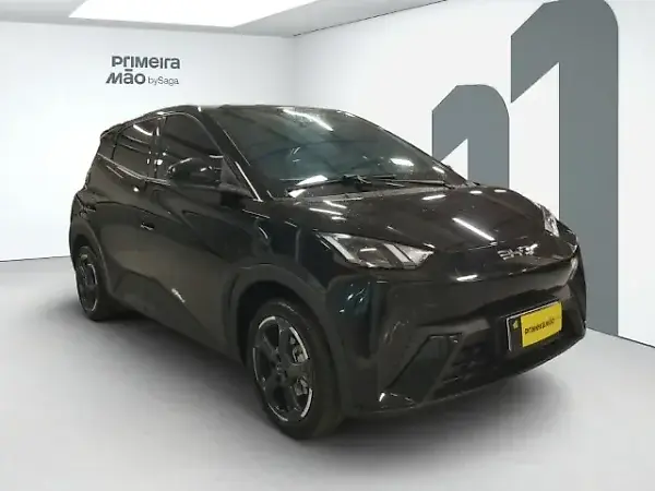 BYD Dolphin Mini - Imagem 10
