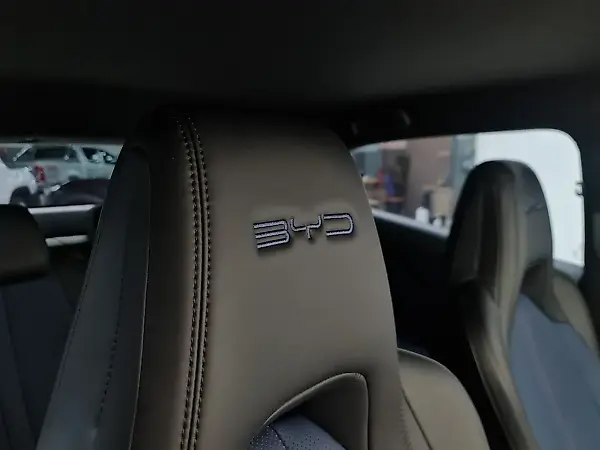 BYD Dolphin Mini - Imagem 11