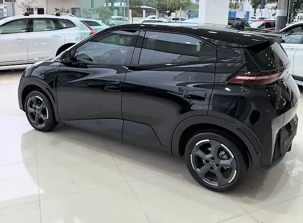BYD Dolphin Mini - Imagem 8