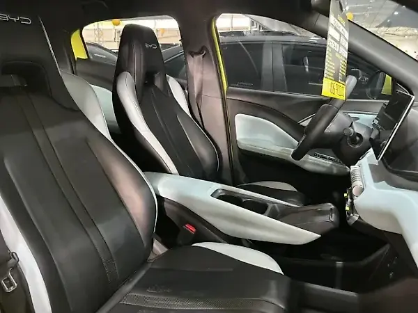 BYD Dolphin Mini - Imagem 11