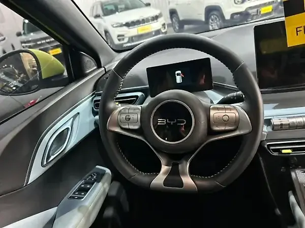 BYD Dolphin Mini - Imagem 8