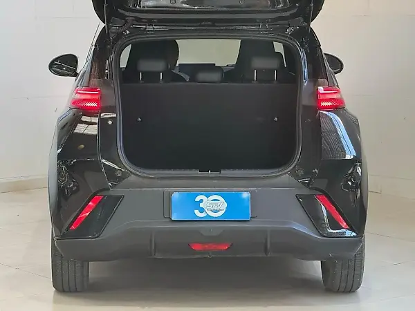 BYD Dolphin Mini - Imagem 7