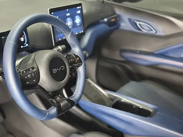 BYD Dolphin Mini - Imagem 11