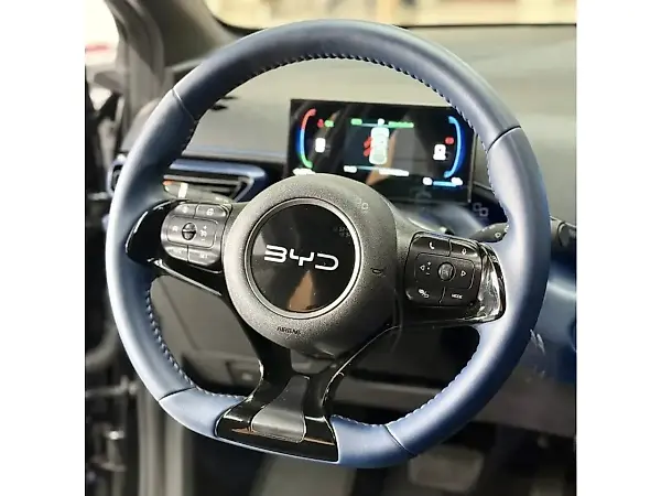 BYD Dolphin Mini - Imagem 13