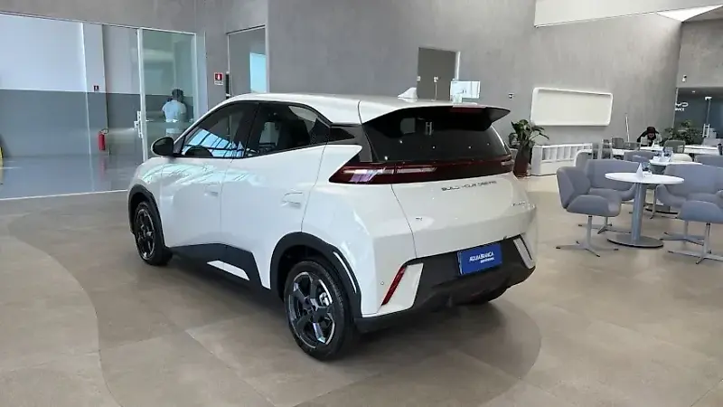 BYD Dolphin Mini - Imagem 6