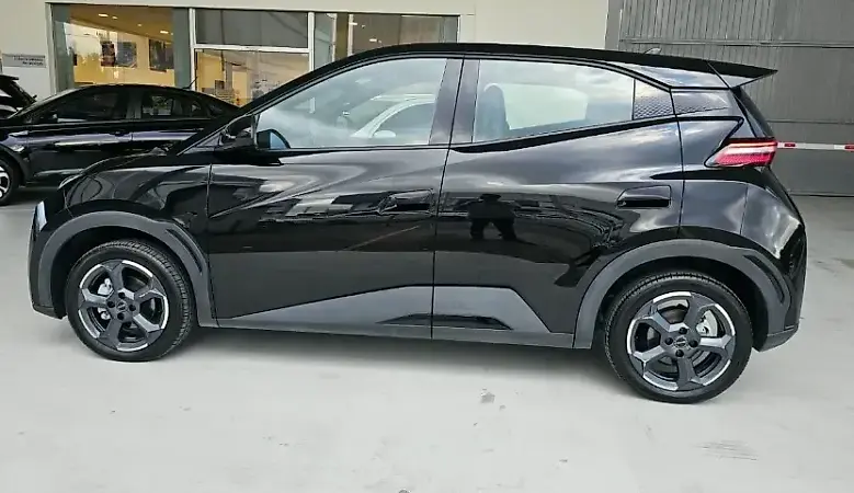 BYD Dolphin Mini - Imagem 12