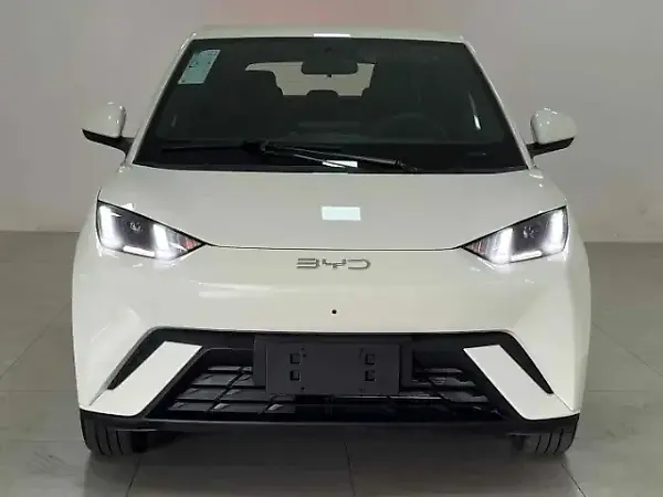 BYD Dolphin Mini - Imagem 2