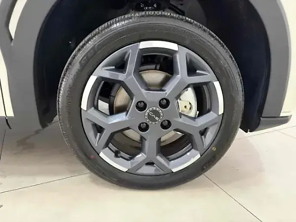 BYD Dolphin Mini - Imagem 16