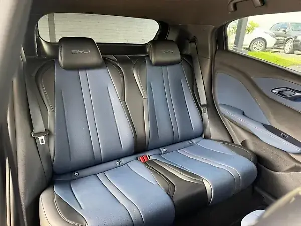 BYD Dolphin Mini - Imagem 8