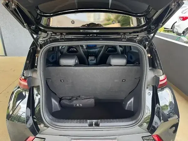 BYD Dolphin Mini - Imagem 12