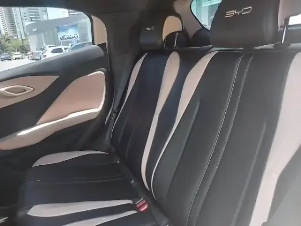 BYD Dolphin Mini - Imagem 12