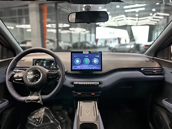 BYD Dolphin Mini - Imagem 19