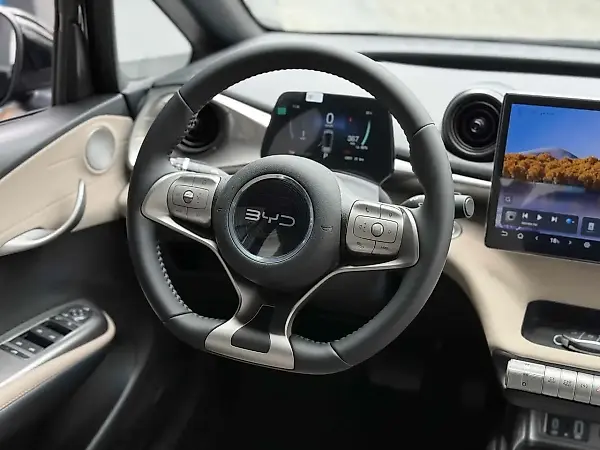 BYD Dolphin - Imagem 8