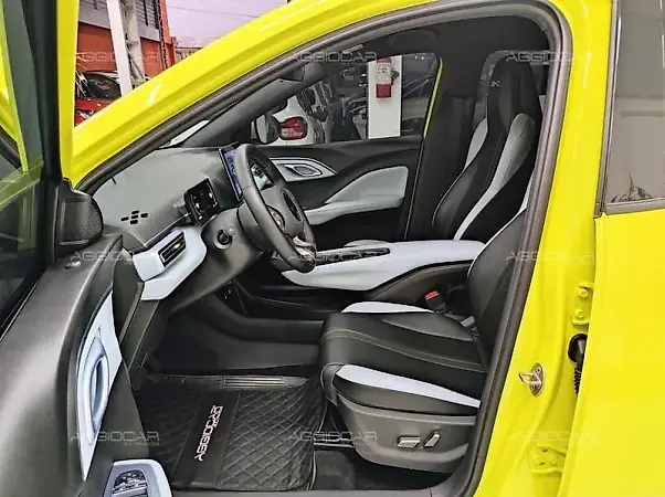 BYD Dolphin Mini - Imagem 18