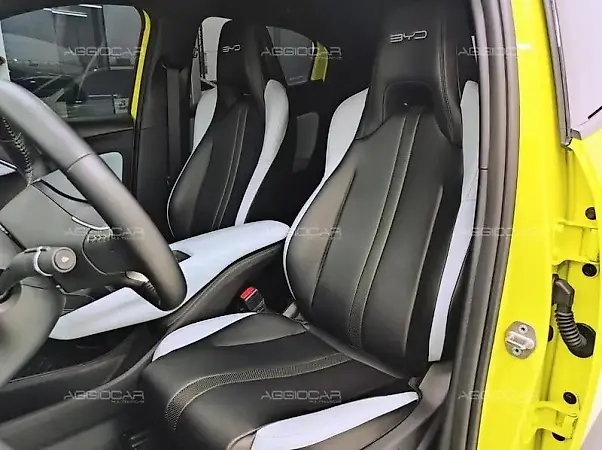 BYD Dolphin Mini - Imagem 17