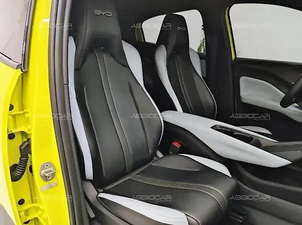 BYD Dolphin Mini - Imagem 20