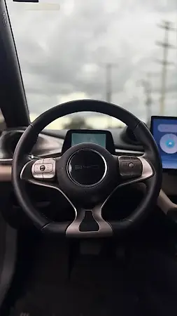 BYD Dolphin - Imagem 14