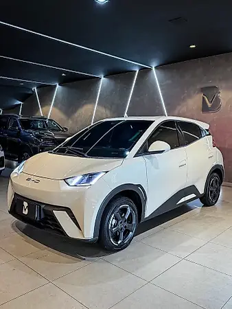 BYD Dolphin Mini - Imagem 3